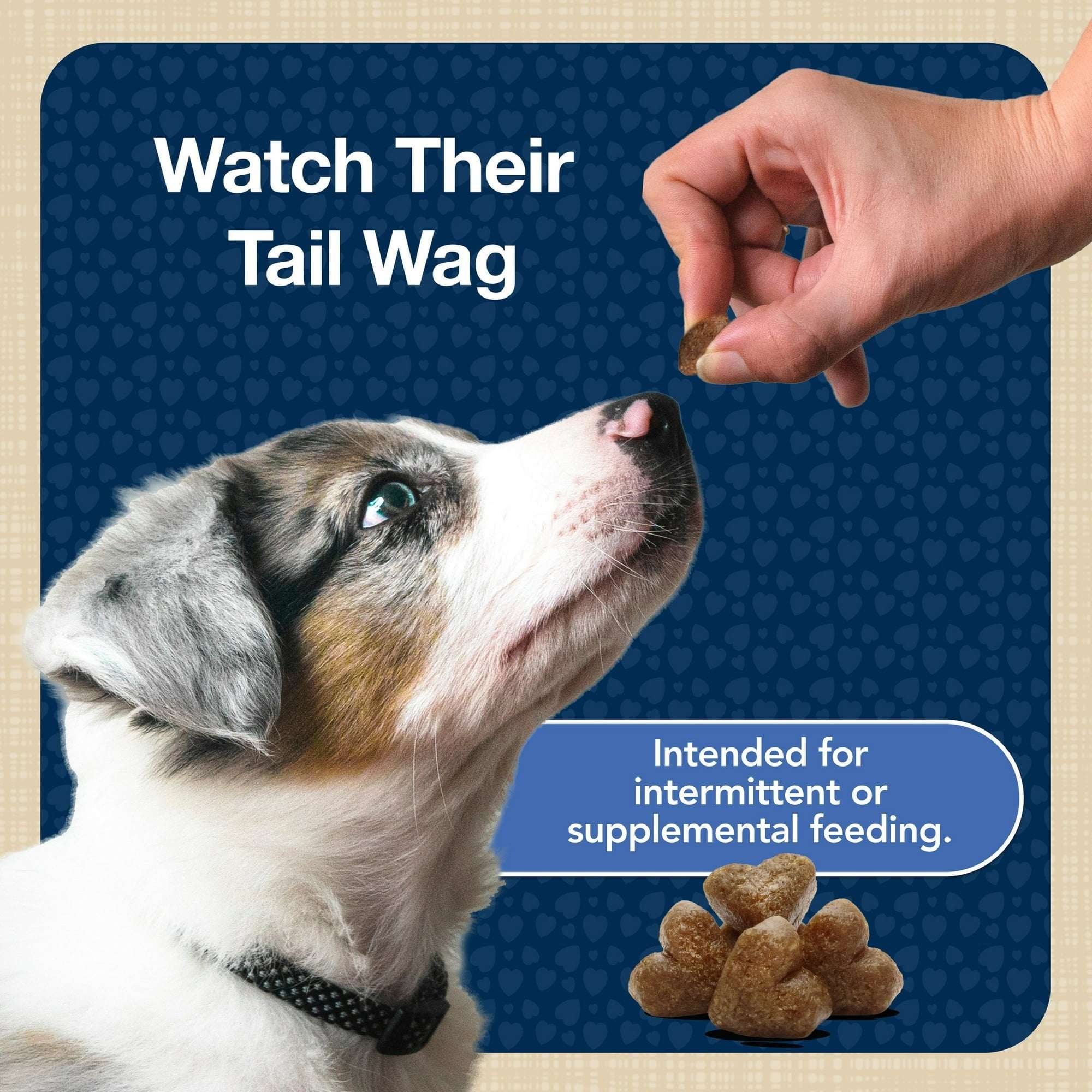 (4 pack) Blue Buffalo Bits Soft Dog Treats for Training, Enhanced with DHA, 4-oz. Bag