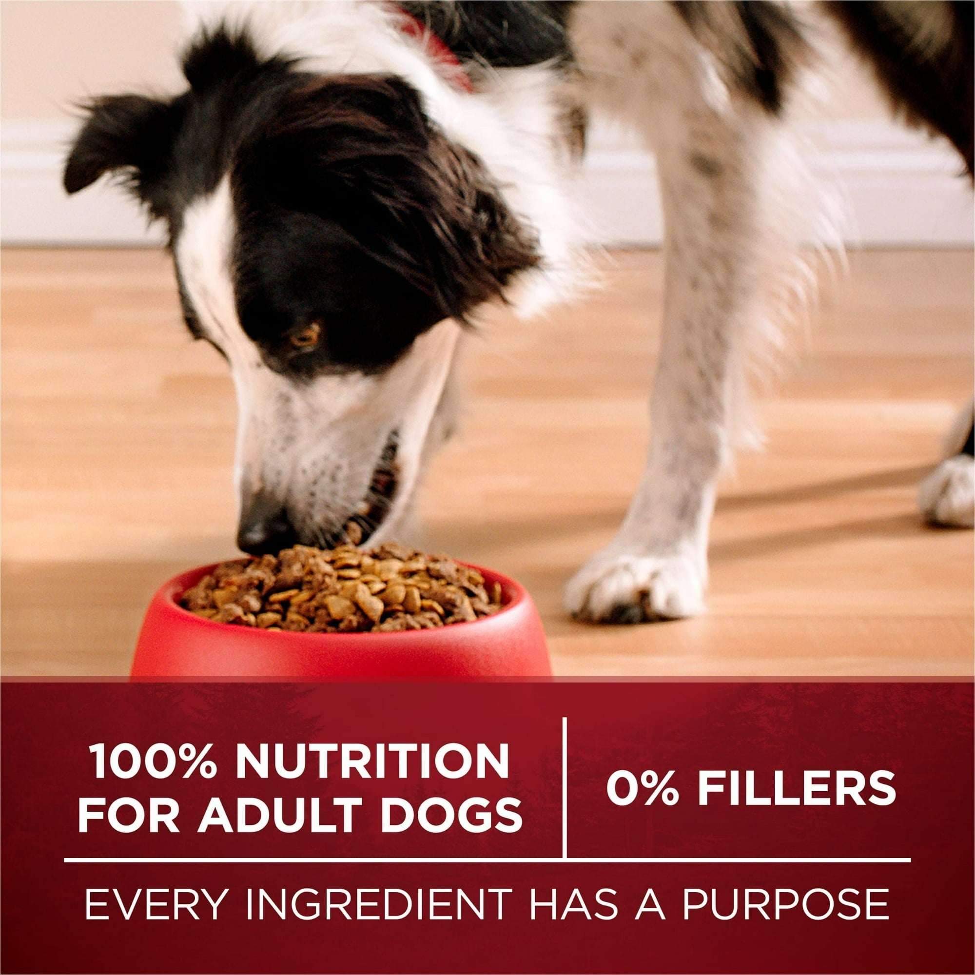 Purina ONE True Instinct Dry Dog Food for Adults, High Protein with Real Beef & Salmon