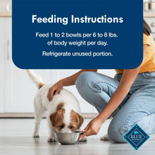 Small breed dog eating wet food from metal bowl