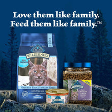 Blue Wilderness dry cat food bag with kibble jar and indoor cat food branding
