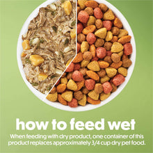 Split bowl showing wet dog food and dry kibble for feeding guidance