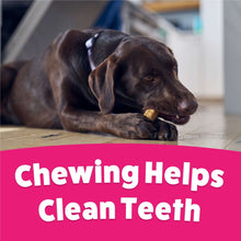 Dog chew treat product with a dog biting a beige bone chew; cleaning teeth message