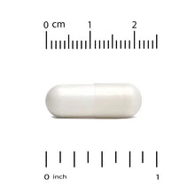 White veggie supplement capsule on size scale, 0 to 2 cm