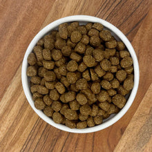 Dog kibble in white bowl on wood surface