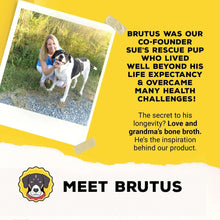 Meet Brutus story graphic with co-founder photo and probiotic bone broth logo