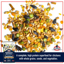 Chicken layer feed mix of grains and seeds with green and dark kernels