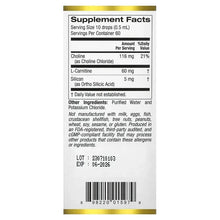 Supplement Facts panel for choline silica complex, serving size 10 drops