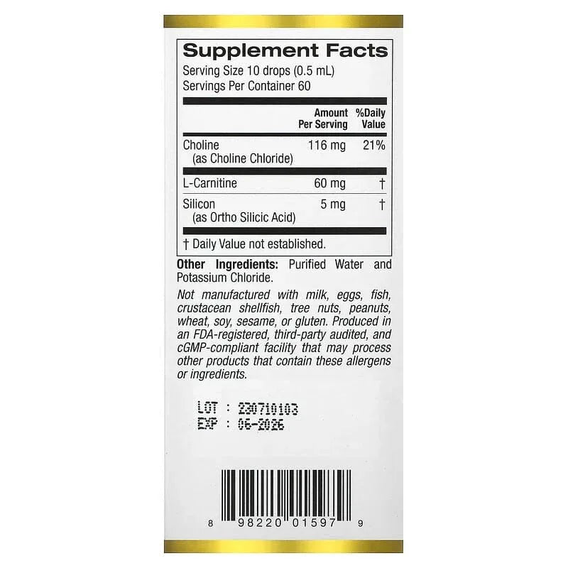California Gold Nutrition, Choline Silica Complex, Bioavailable & Stabilized Silicon with Choline & L-Carnitine, 1 fl oz (30 ml) - USA MEGA SHOP