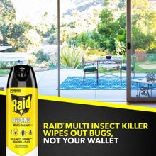 Raid multi-insect insect killer spray can with window patio scene banner