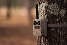 Tan trail camera mounted on a tree trunk with long antenna