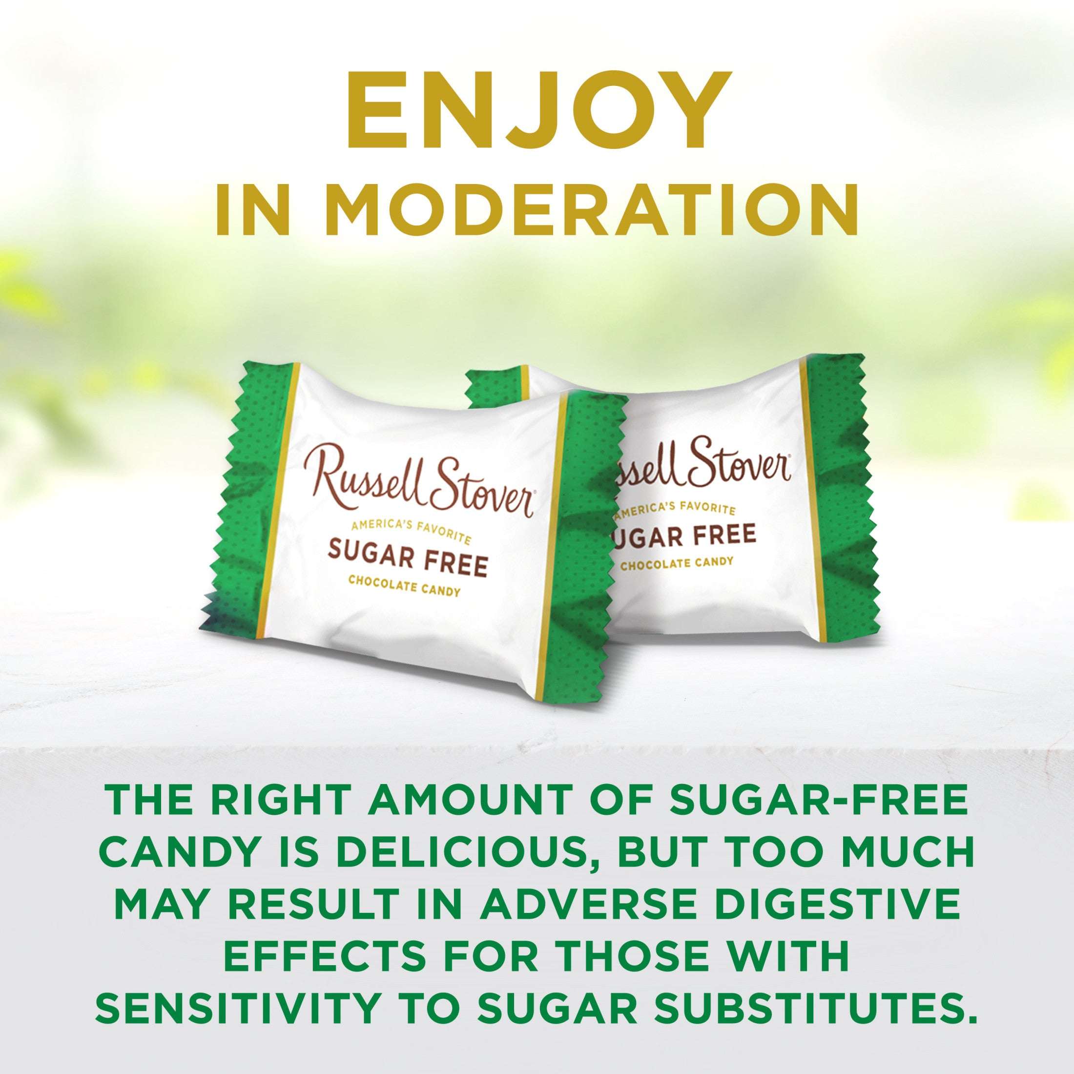 RUSSELL STOVER Sugar Free Coconut in Chocolate Candy, 10 oz. bag