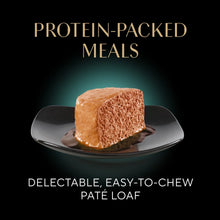 Pate meal portion on a plate for wet cat food variety pack, labeled protein-packed