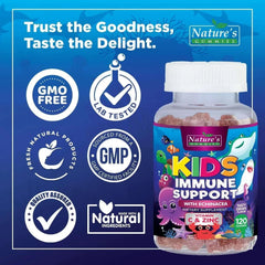 Kids Immune Support Supplement Gummies with Vitamin C, Zinc & Echinacea, Natural Berry Flavor, Ages 4+, 120 Gummies