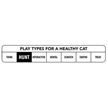 Healthy cat play types chart: Think, Hunt, Interactive, Dental, Scratch, Soothe, Treat