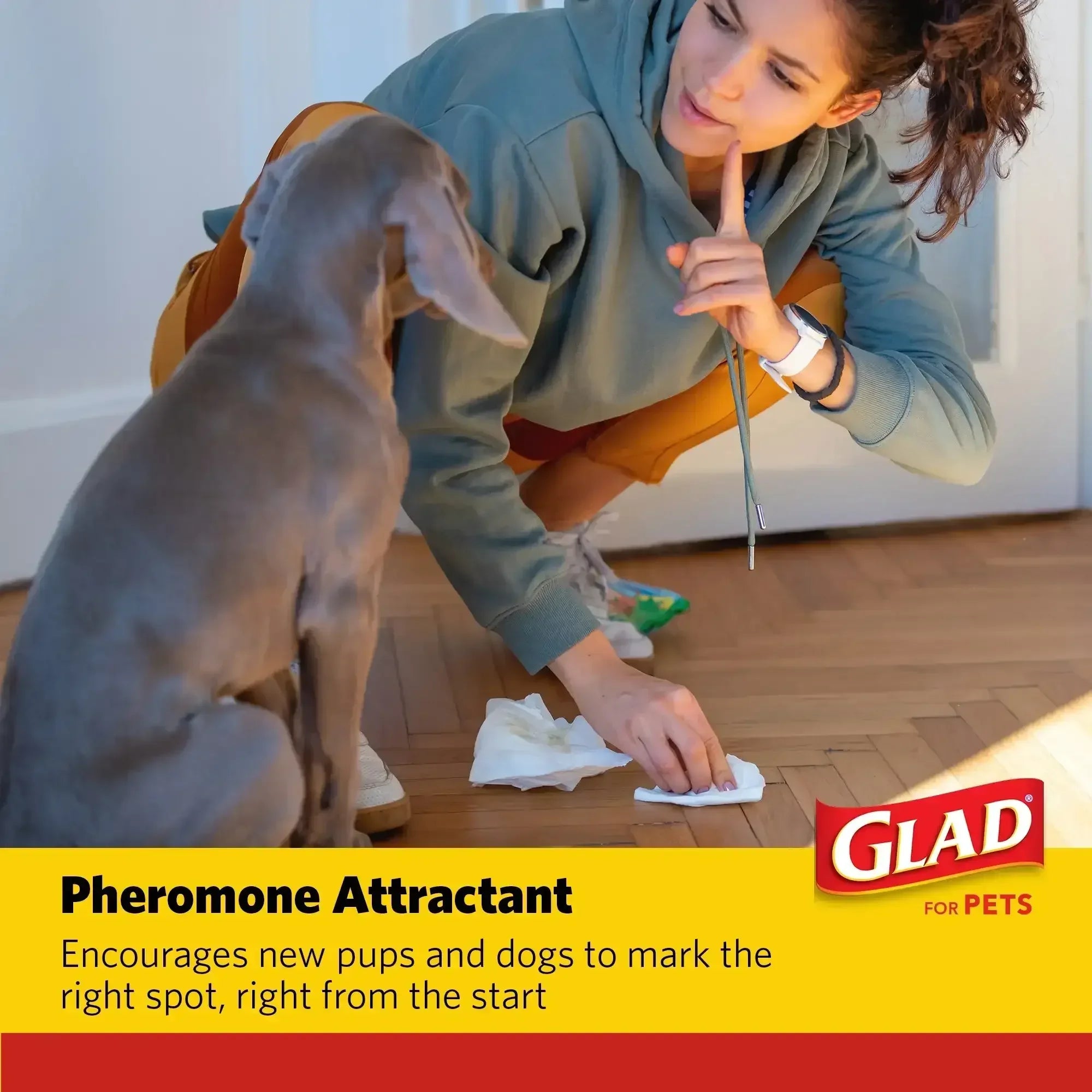 Glad Activated Charcoal Leak-Resistant Training Pads for Dogs, 23in x 23in, 100 Count