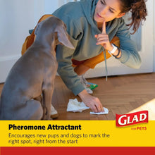 Dog training pad on floor as a person prepares potty training with pheromone attractant.