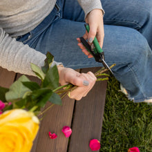 Green-and-black garden snipping shears cutting stems in a hand
