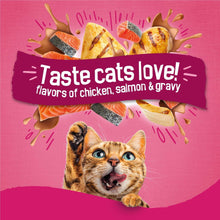 Purina Friskies Gravy Swirlers dry cat food bag with cat illustration