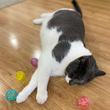 Cat sniffing a purple lattice bell ball with multiple colorful balls nearby