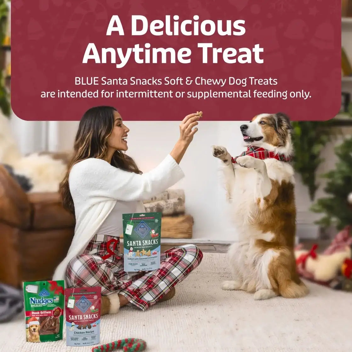 Blue Buffalo Santa Snacks Soft-Moist Dog Bits for Training, Chicken, 4.5-oz. Bag