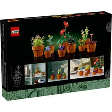 LEGO Icons Tiny Plants box front with potted LEGO plants in terracotta pots
