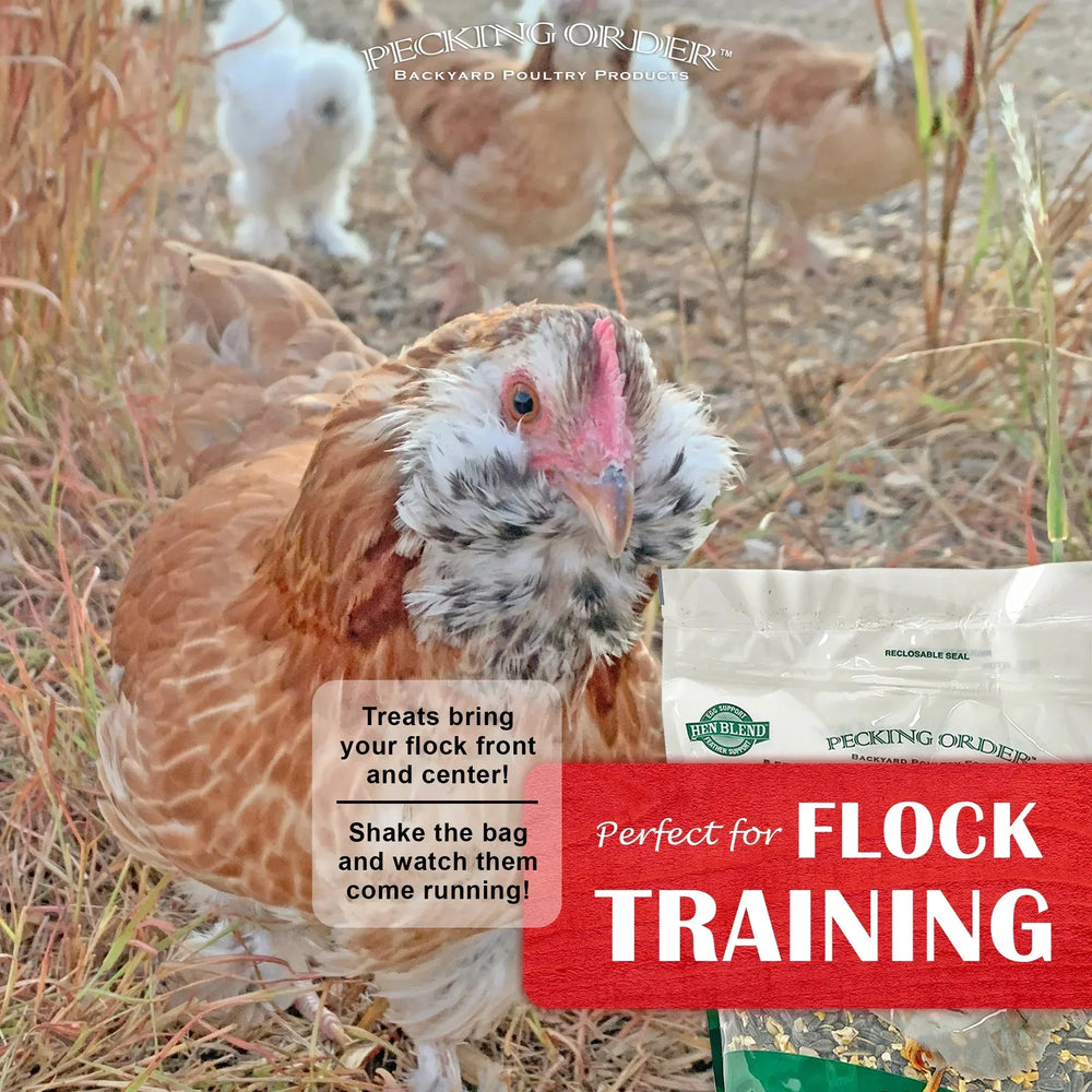 Red River Commodities Pecking Order Mealworm & Sunflower Chicken Treat; 3 lb. Bag - USA MEGA SHOP