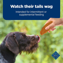 Chicken jerky cut offered to black dog outdoors, wagging intent