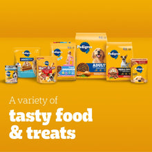 Pedigree variety of pet food and treat packages on display