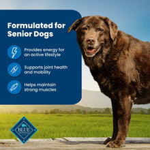 Senior dog food formula benefits graphic with dog and health icons