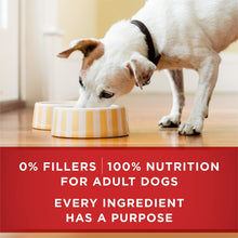 Adult dog eating from bowl, 0% fillers and 100% nutrition banner text