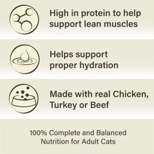 Wet cat food benefit icons: high protein, hydration, and real meat