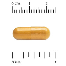 Orange curcumin gel capsule with size scale for pill dimensions reference