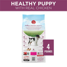 Purina ONE Plus dry dog food bag, 4 pounds, front label with puppy illustration