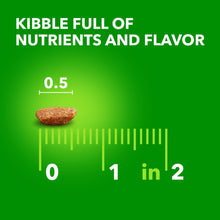 Dog food kibble measuring graphic with 0.5 and inches scale from 0 to 2.