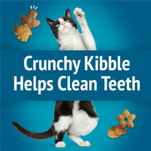 Cat on kibble promotion poster stating Crunchy Kibble helps clean teeth