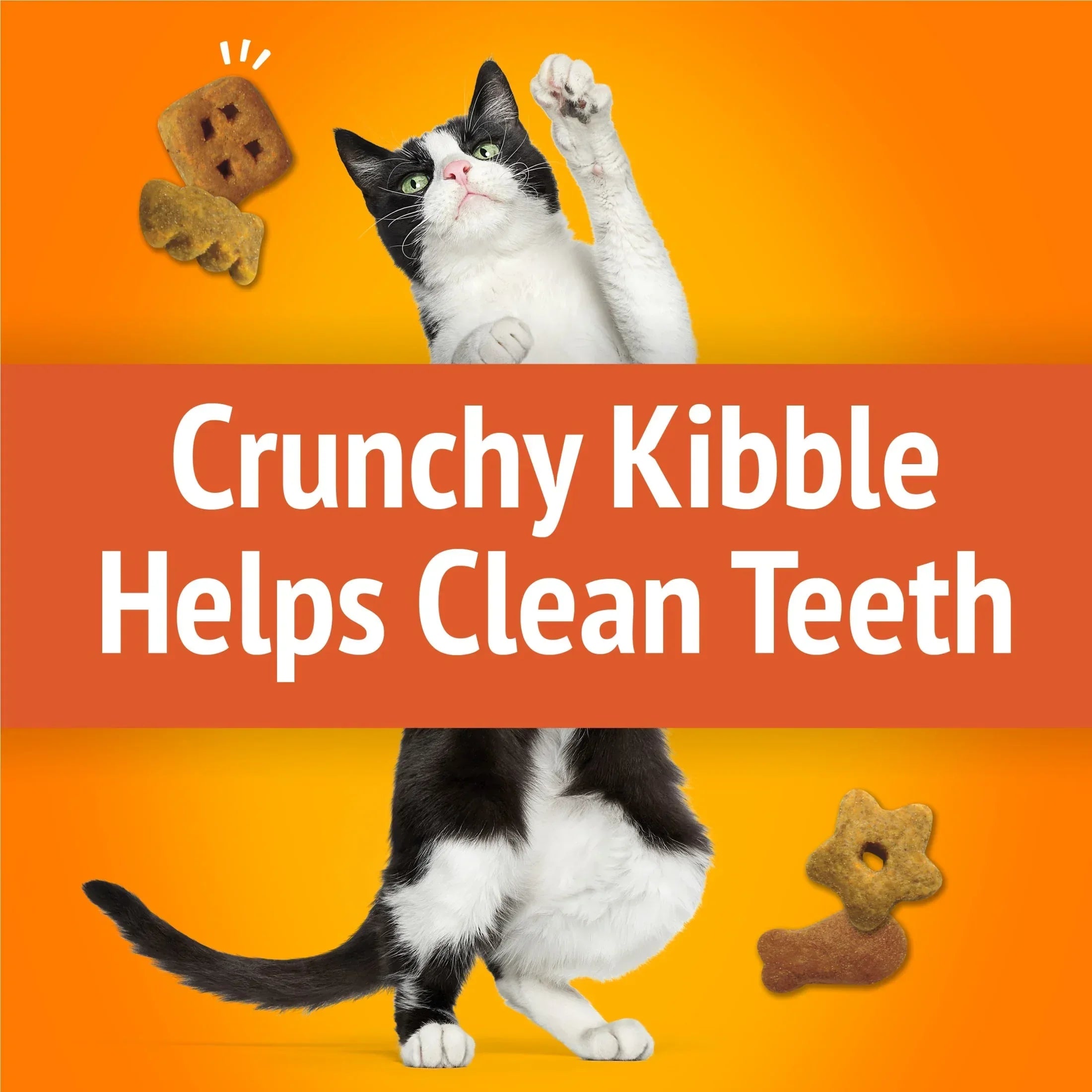 Purina Friskies Party Mix Original Crunch, Cat Treats, Chicken, Liver, & Turkey, 20 oz Canister - USA MEGA SHOP