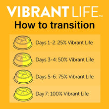 How to transition wet cat food feeding guide with day-by-day percentages
