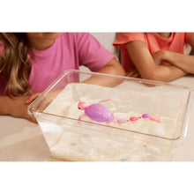 Clear tank with purple turtle toy and small pink baby turtle figures