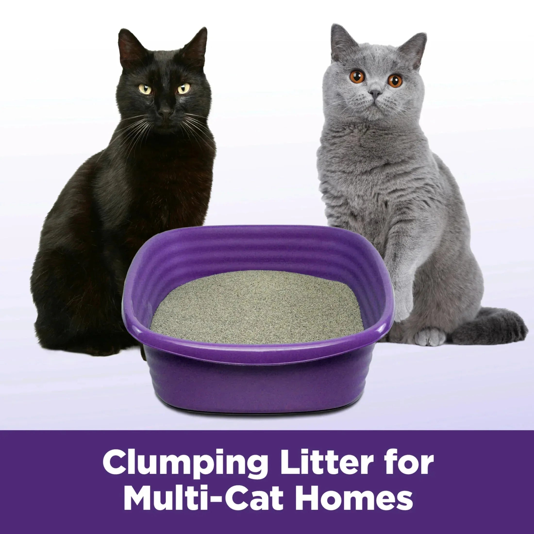 ARM & HAMMER Clump & Seal SLIDE Cat Litter, Easy Clean-up Multi-Cat Clumping Litter, 38 lbs - USA MEGA SHOP
