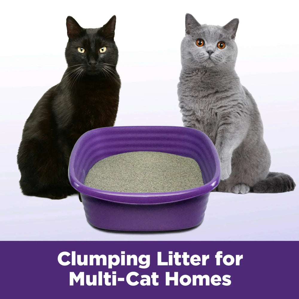 ARM & HAMMER Clump & Seal SLIDE Cat Litter, Easy Clean-up Multi-Cat Clumping Litter, 38 lbs - USA MEGA SHOP