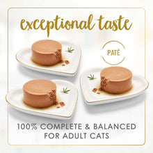 Three plates of pâté portions for adult cats, classic pate variety