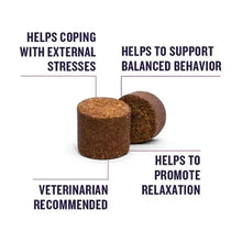 Brown dog calming soft chew pieces for relaxation support