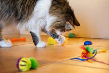 Cat playing with colorful wand and pom-pom toys on floor