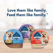 Blue Buffalo Delights wet dog food cups assortment with roasted chicken and filet mignon flavors