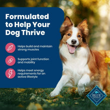 Blue Buffalo Life Protection Formula dog food card with a standing dog