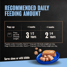 Cesar puppy wet dog food feeding guide graphic with bowl and loaf pieces