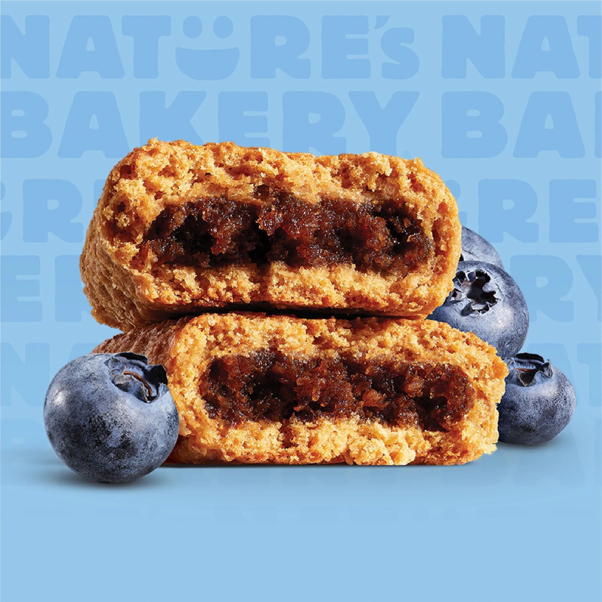Nature's Bakery Blueberry Fig Bars, 10 Twin packs, 2 oz Each