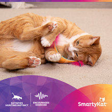 Interactive cat toy: pink feather wand with string near orange kitten
