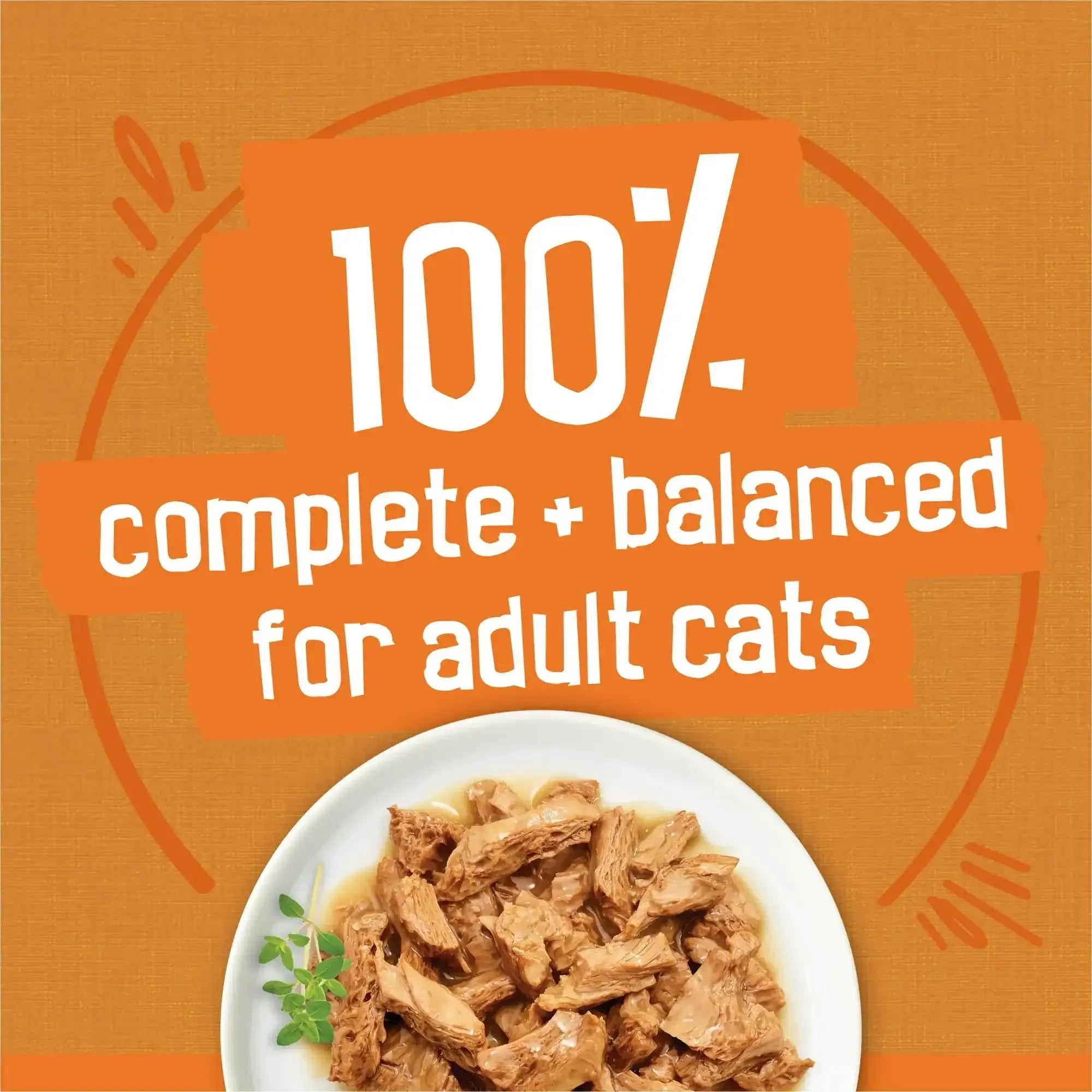 Purina Friskies Gravy Wet Cat Food Variety Pack, Chicken Lovers Prime Filets and Shreds, 5.5 oz Cans, 32 Pack - USA MEGA SHOP