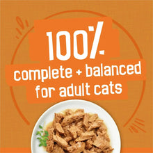 Wet cat food serving with shredded chicken, 100% complete for adult cats